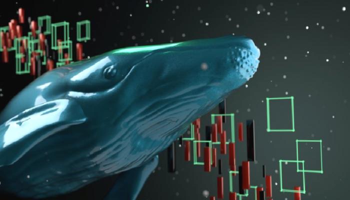 Büyük İsimler Alıyor: Binance Balinaları, Bu Altcoin’e Koştu!