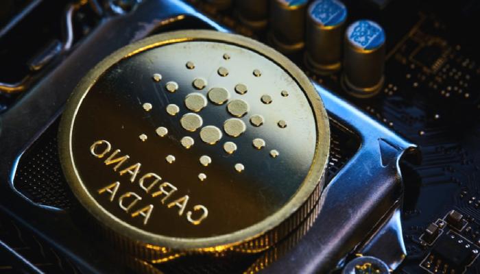 Cardano, Daedalus’un Test Sürümünü Yayınladı