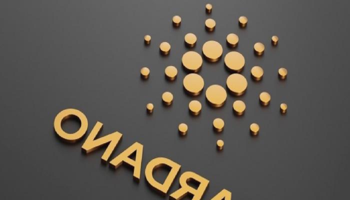 Cardano Kurucusu, Vasil Yükseltmesinin Tarihini Açıkladı