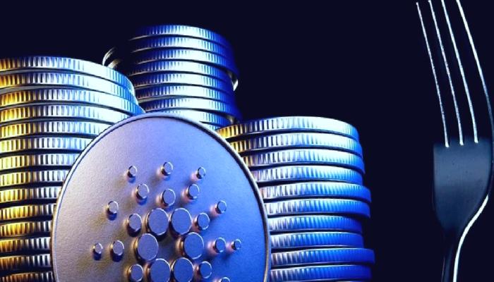 Cardano Vasil Hard Fork Nedir, Ne Vakit Çıkacak?