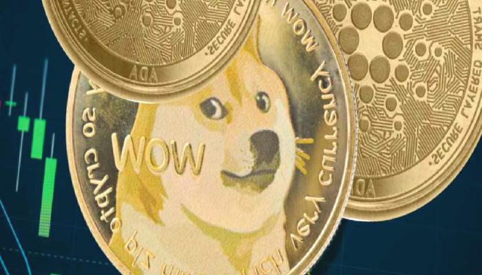 Cardano ve Dogecoin: İşte Bilmeniz Gereken Son Gelişmeler!