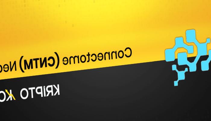 Connectome Nedir? CNTM Ne İşe Yarar?