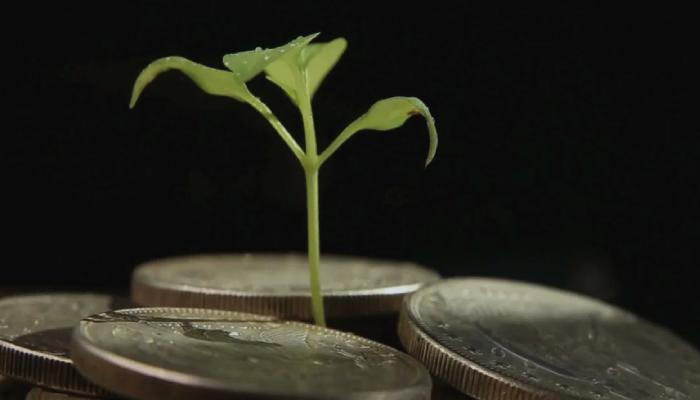 Danışmanlık Devi: Bu 3 Altcoin’den Toplayın! Yüzde 25.000 Yaptı