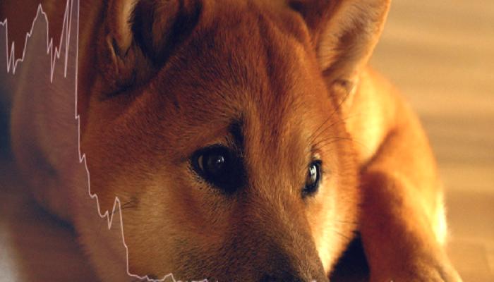 Danışmanlık Devi: SHIB ve Bu 3 Altcoin’den Uzak Durun!