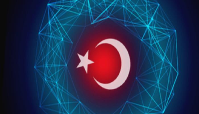 Datalar Geldi: Bu Altcoin’e Türk Akını Var!