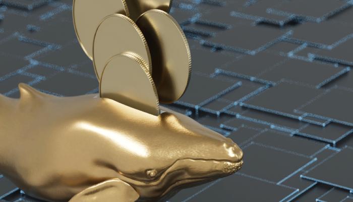 Dikkat: Büyük Balinalar, Bu 2 Altcoin’i Süratle Topluyor!