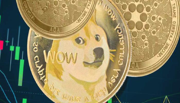 DOGE, ADA, BTC ve Bu 5 Altcoin İçin Al-Sat Düzeyleri Çıktı!