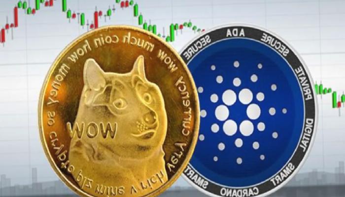 Dogecoin ve Cardano: Hafta Sonu Bu Düzeyler Görülebilir!