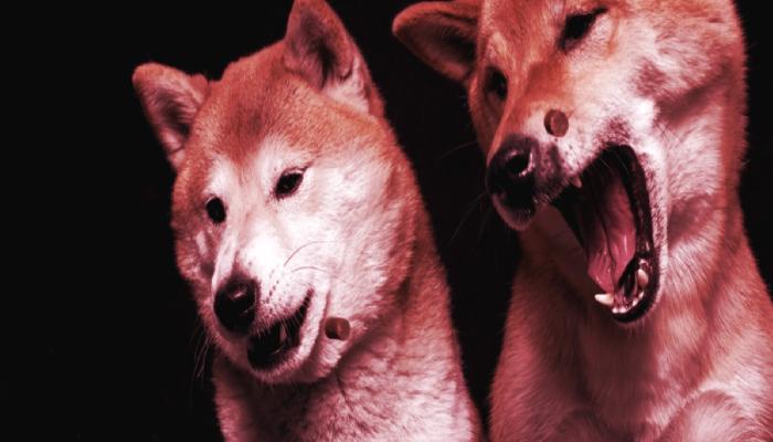 Dogecoin ve SHIB’i Eleştiren Kriz Kâhini, “Kalıcı Düşüş” İçin Uyardı!