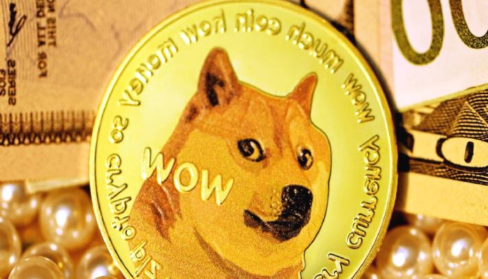 DOGE’nin Piyasa Bedeli 8 Milyar Doları Geçti