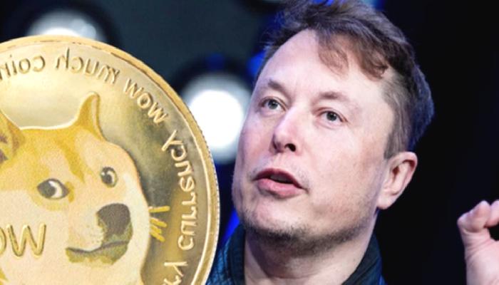 Elon Musk ve DOGE Mucidi Uyardı: İşler Berbata Gidebilir!