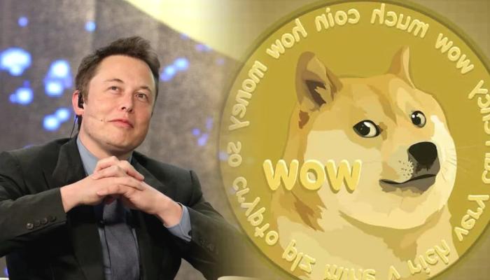 Elon Musk’a Açılan Dogecoin Davasına Yeni İsimler Katıldı