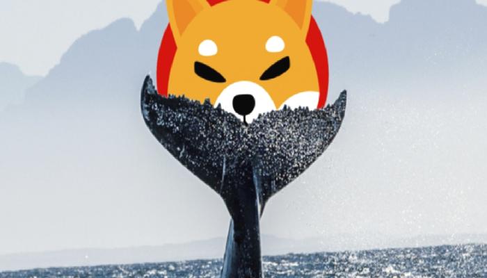 Ethereum Balinaları, Son Günlerde 4.5 Trilyon Adet SHIB Topladı