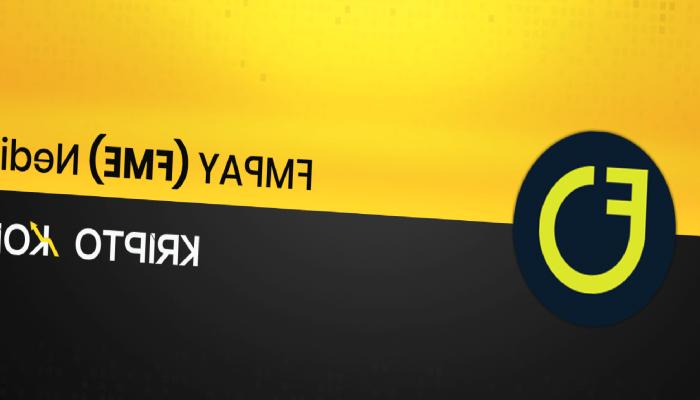 FMPAY Nedir? FME Token Ne İşe Yarar?