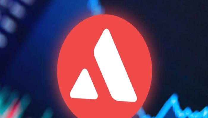 KKR, Sermaye Fonunun Bir Kısmını Avalanche’ta Kullanıma Sundu