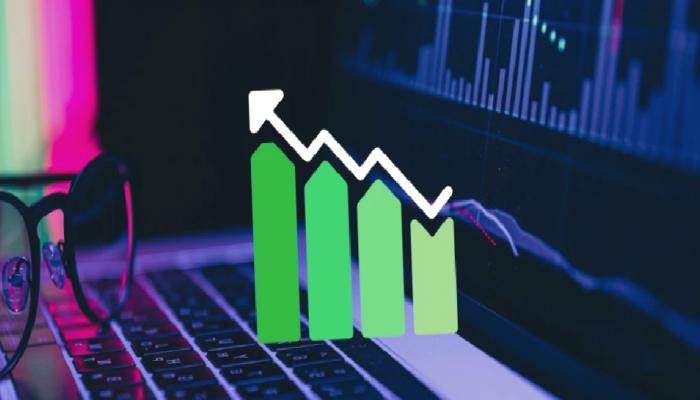 Piyasa Analistinden Çarpıcı SHIB ve Ripple Tahmini!