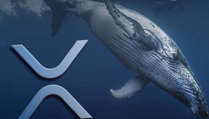 Ripple Balina Akımını Uğradı! 10 Dolar Mı Geliyor?