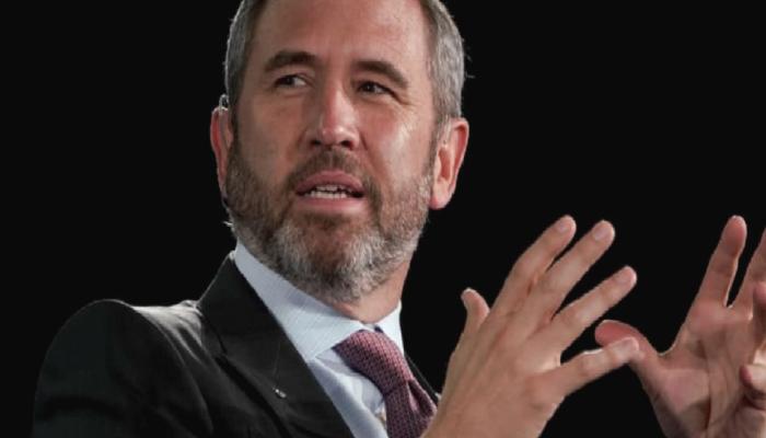Ripple CEO’su: Bu 2 Altcoin’den Var Elimde!