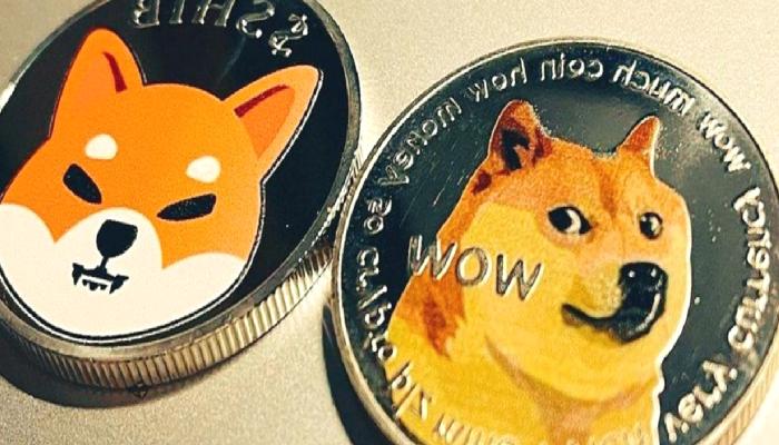 Santiment: Bu Altcoin, SHIB ve DOGE’un Yerini Alabilir!