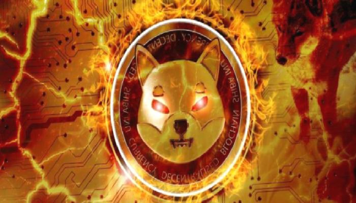 SHIB 3 Kıymetli Gelişme Duyurdu: Burn Yüzde 400 Yaptı!