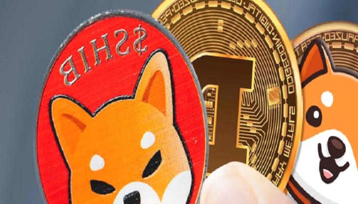 SHIB, DOGE ve BabyDoge İçin Bu Düzeyler Bekleniyor!