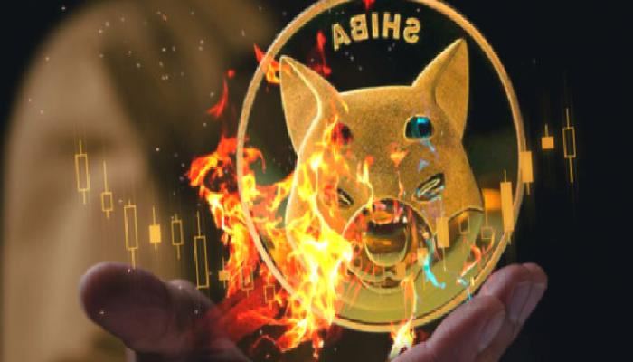SHIB, DOGE ve ETH: Haftaya Bu Düzeyler Görülebilir!
