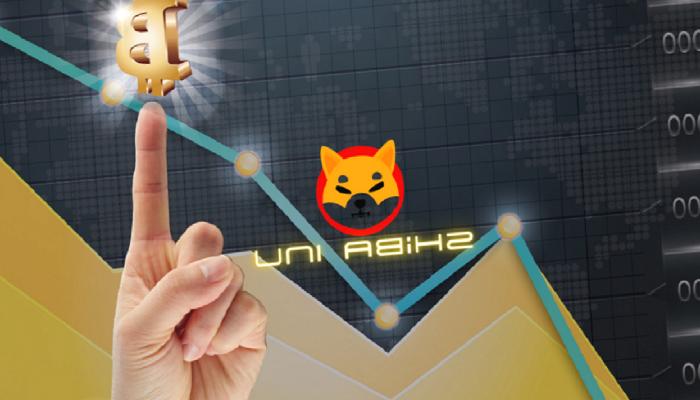 SHIB ve Bitcoin: Haftaya Bu Düzeyler Görülebilir!
