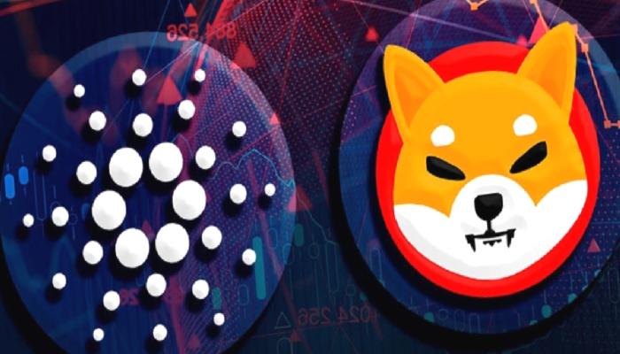 SHIB ve Cardano Yatırımcıları Dikkat: Binance Muştuyu Verdi!