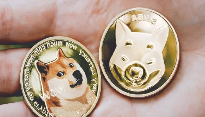 SHIB ve DOGE Rakibi Altcoin Yükseliyor: Sıradaki Büyük Şey Mi?
