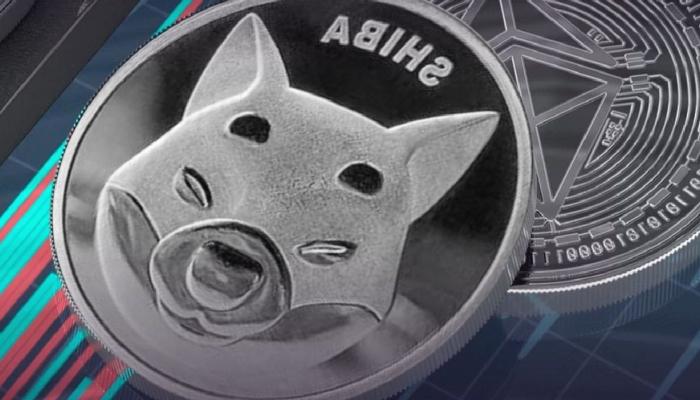 SHIB ve Ethereum Balinaların Sepetinde Bu Coinler Var!