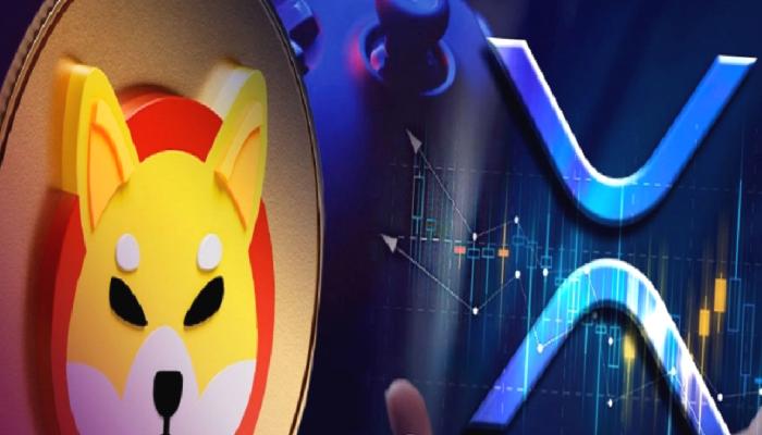 SHIB ve Ripple Satın Almalı Mısınız? Beklenen Düzeyler Ne?