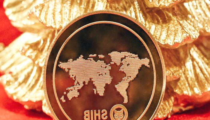 Shiba Inu, Metaverse Projesinin İlk Konseptini Açıkladı!