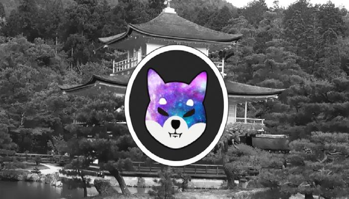 Shiba Inu Metaverse Takımına Netflix’ten Transfer