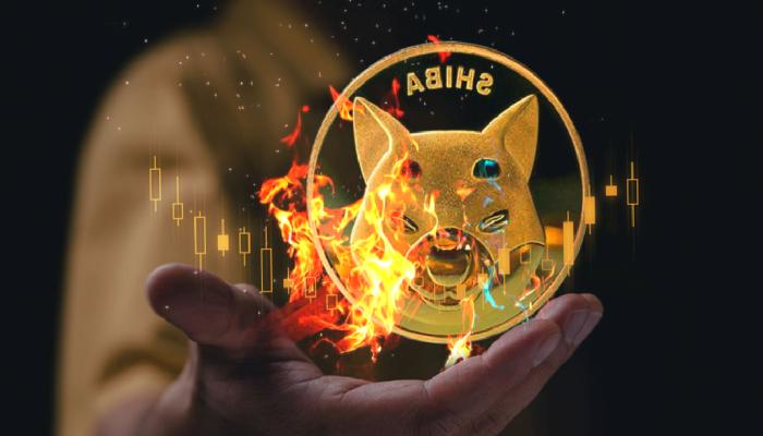 Shiba Inu Mucidi Gizemli Tweetler Attı: SHIB İçin Ne Geliyor?
