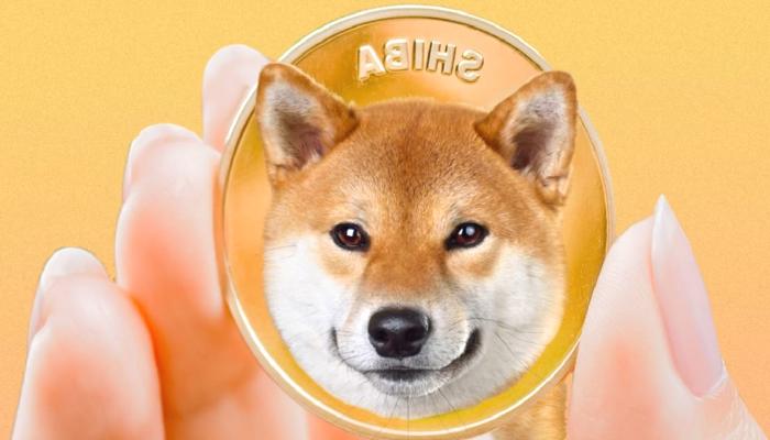 Shiba Inu (SHIB), Piyasa Pahasına Göre 12. Sıraya Yükseldi
