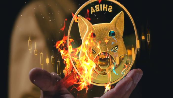Shiba Inu (SHIB)’nun Nitekim 10x Yapma Potansiyeli Var Mı?