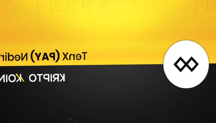 TenX Nedir? HİSSE Coin Ne İşe Yarar?