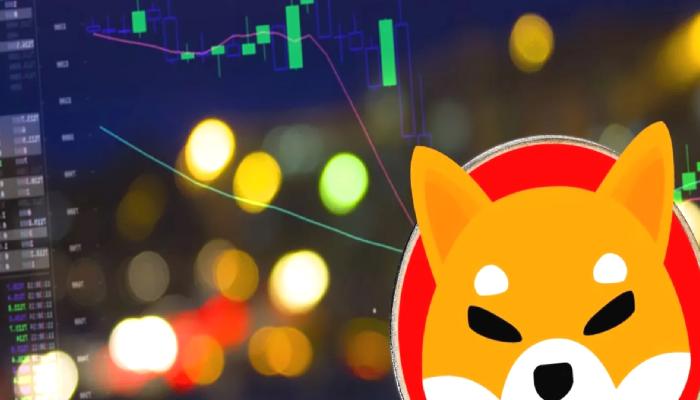 Ünlü Siyasetçiden Kritik SHIB, LUNC ve Ripple Tahmini!