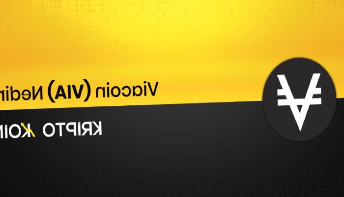 Viacoin Nedir? VIA Ne İşe Yarar?