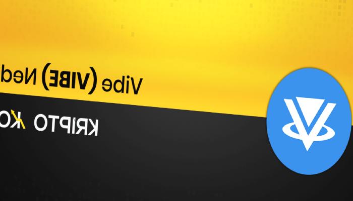 Vibe Coin Nedir? VIBE Ne İşe Yarar?