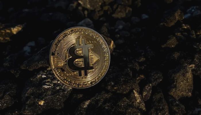 Yatırımcılar Bitcoin’ler ile Ne Yapıyor: Birikim mi Harcama mı?