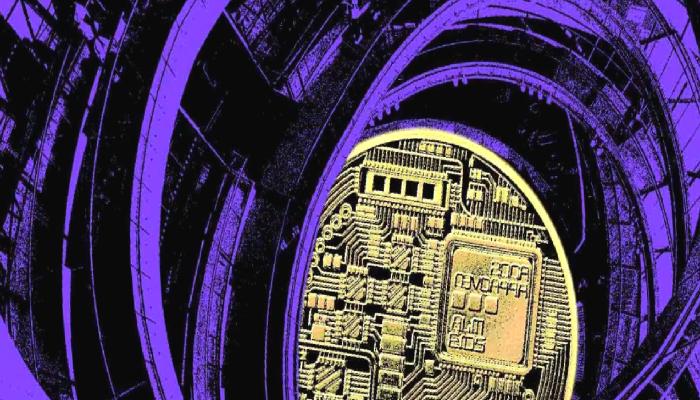 ABD Kongre Adayı: Koşup Bu Altcoin’den Alıcam!