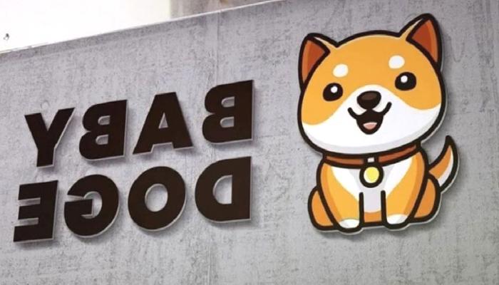 BabyDoge, Swap Duyurusundan Sonra Yükselişe Geçti