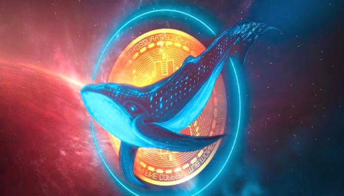 Balina İlgisi Patladı: Bu 3 Altcoin’e Fokuslanın!