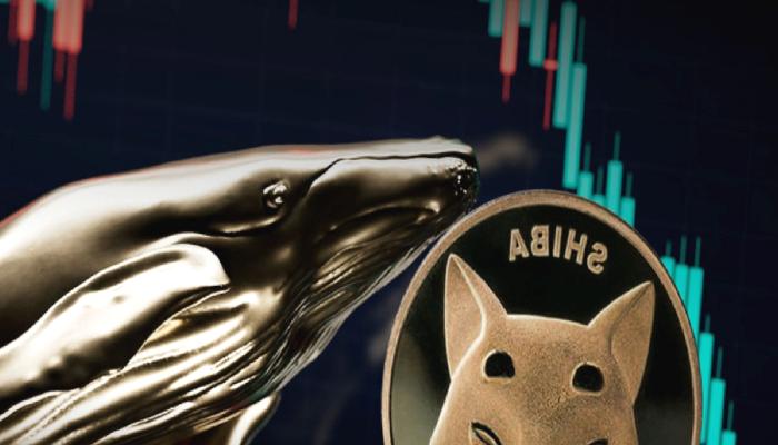 Balinalar Göründü: Bu 3 Altcoin Süratle Alınıyor!