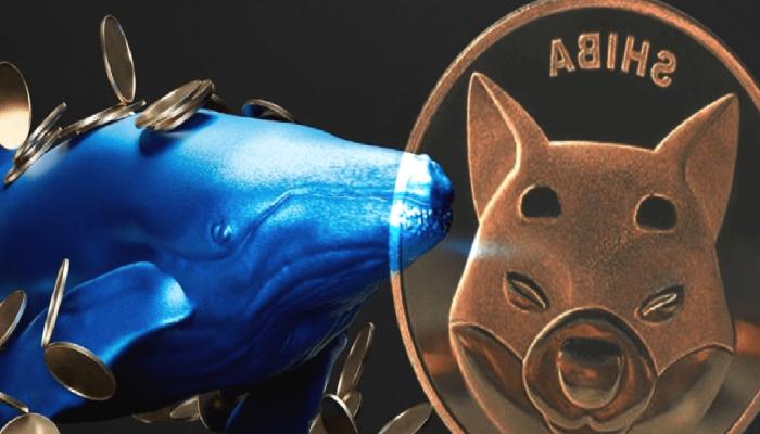 Balinalar Yüklüce SHIB Satıyor: Bu Altcoin’i ise Stokluyorlar!