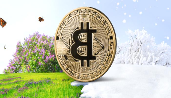 Bitcoin ve Altcoin Kışı Çetin: İşte 5 Hayatta Kalma İpucu!
