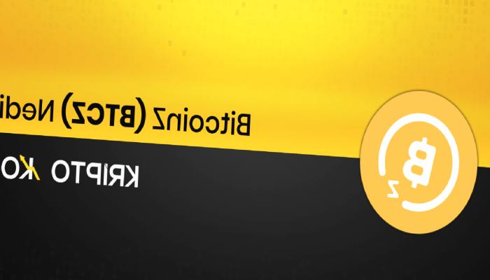 BitcoinZ Nedir? BTCZ Ne İşe Yarar?
