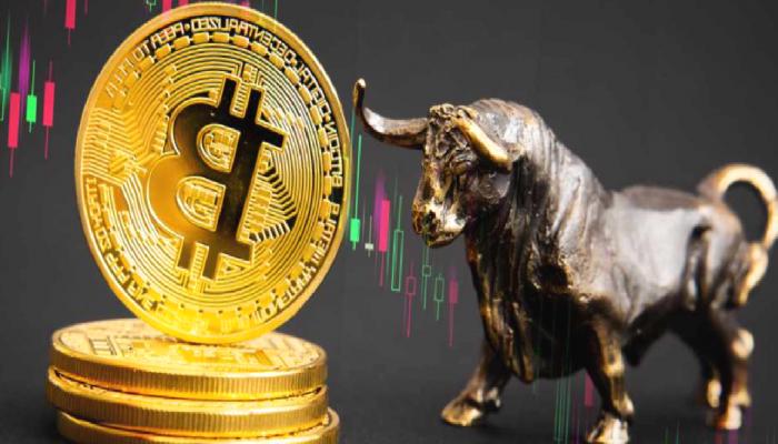 Bitwise CEO’su: Yeni Bitcoin Boğa Döngüsü Bu Tarihte!