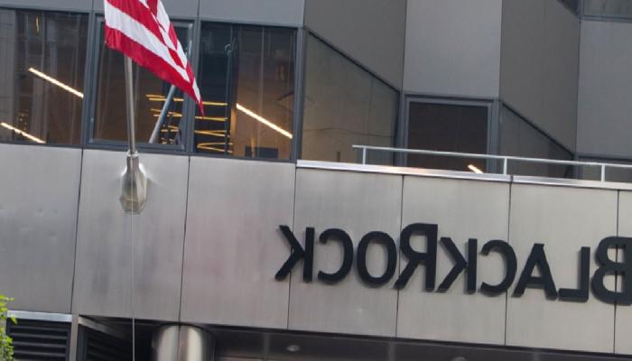 BlackRock Şirket Geliri ETF Eserleri Sayesinde Ayakta Kaldı